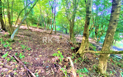 RK4 - NA PREDAJ -  Investičný pozemok - Snežnica - okr Kysucké Nové Mesto