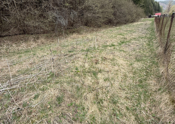 RK4 - POZEMOK POD LESOM V RAJECKEJ LESNEJ