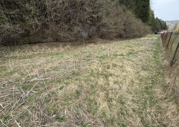 RK4 - POZEMOK POD LESOM V RAJECKEJ LESNEJ