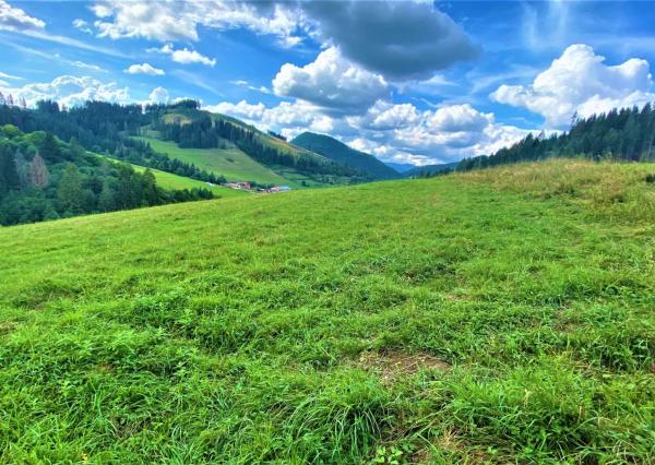 RK4 - NA PREDAJ - Investičný pozemok - Snežnica - okr Kysucké Nové Mesto