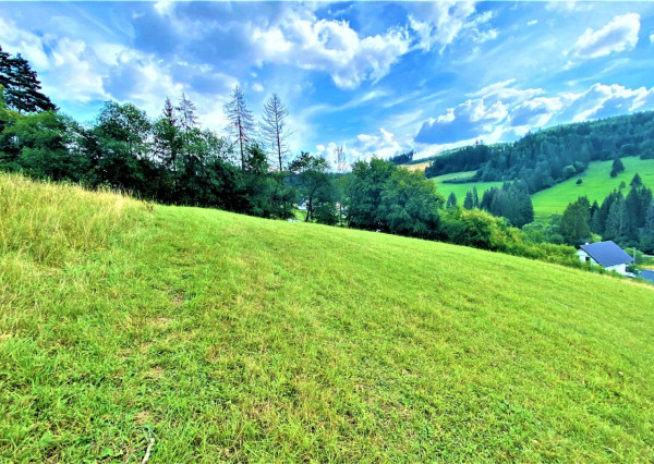 RK4 - NA PREDAJ - Investičný pozemok - Snežnica - okr Kysucké Nové Mesto