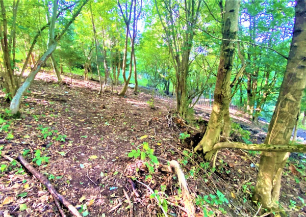 RK4 - NA PREDAJ -  Investičný pozemok - Snežnica - okr Kysucké Nové Mesto