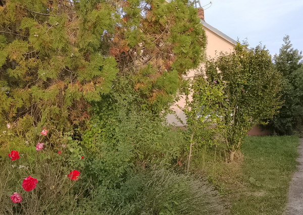 RK4 -  NA PREDAJ  -  4 izbový  rodinný dom , DIAKOVCE