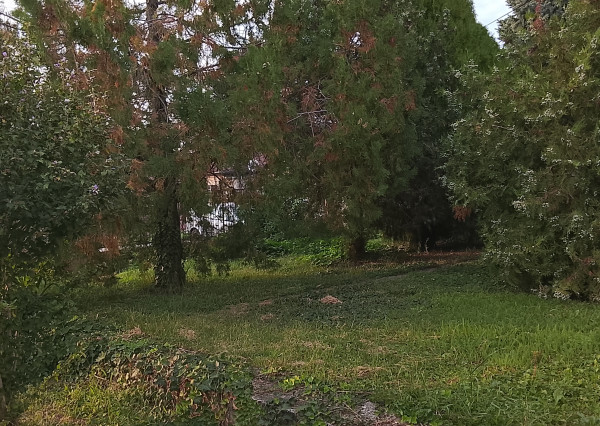 RK4 -  NA PREDAJ  -  4 izbový  rodinný dom , DIAKOVCE