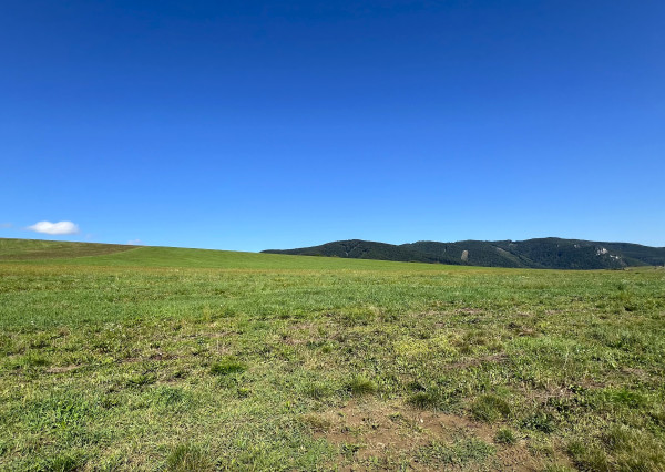 RK4 - NA PREDAJ - Pozemok Konská