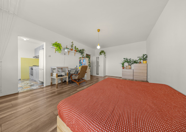 RK4 - Predaj - 1 izbový byt -  Devínska Nová Ves