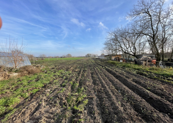 RK4 - NA PREDAJ - Rodinný dom s pozemkom 1968 m2 v meste  NESVADY