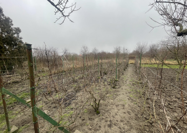 RK4 - NA PREDAJ - Rodinný dom na rekonštrukciu aj na okamžité bývanie  - Iža