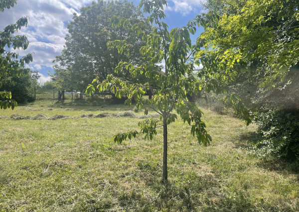 RK4 - NA PREDAJ - stavebný pozemok - DEDINKA, okr. Nové Zámky