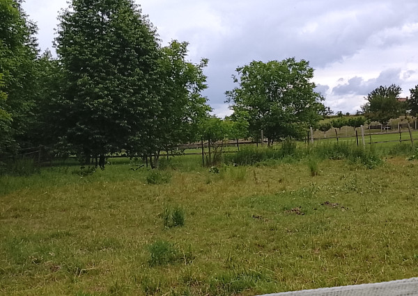RK4 - NA PREDAJ - stavebný pozemok v obci Malé Ripňany