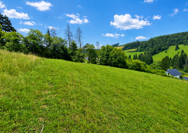RK4 - PREDAJ -  pozemok - Snežnica - okr Kysucké Nové Mesto