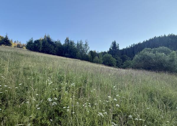 RK4 - PREDAJ - slnečný pozemok 1 889 m² – KYSUCE | ideálny na RD alebo chatu