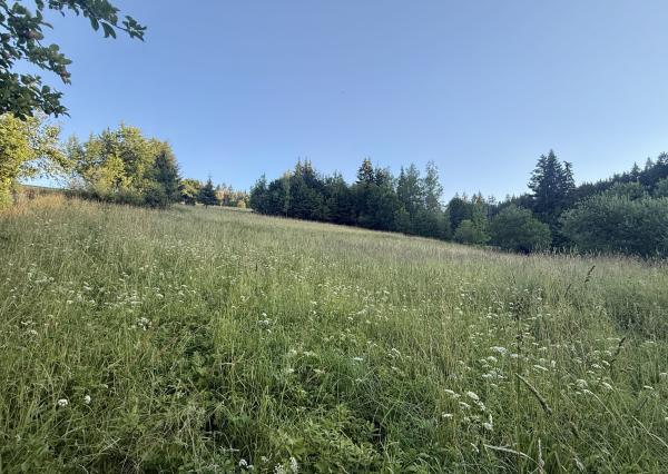 RK4 - PREDAJ - slnečný pozemok 1 889 m² – KYSUCE | ideálny na RD alebo chatu