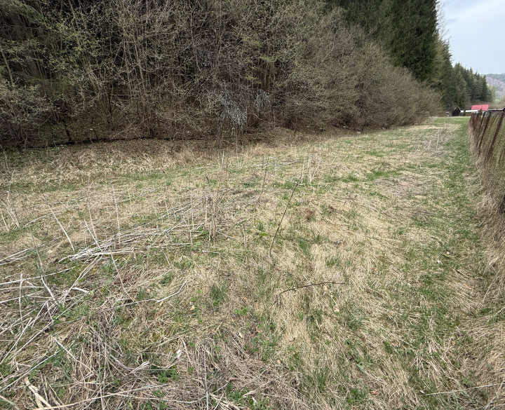 RK4 - POZEMOK POD LESOM V RAJECKEJ LESNEJ