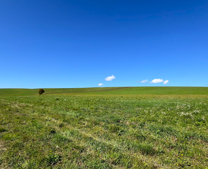 RK4 - NA PREDAJ - Pozemok Konská