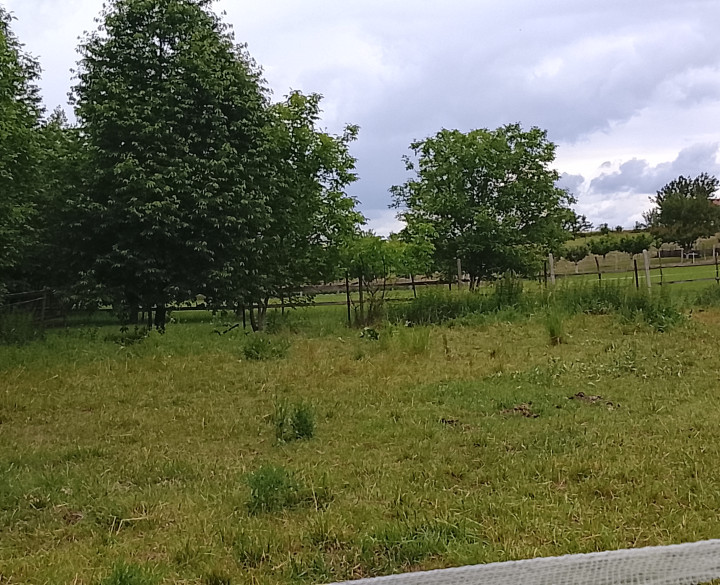 RK4 - NA PREDAJ - stavebný pozemok v obci Malé Ripňany