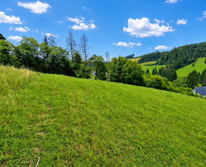 RK4 - PREDAJ -  pozemok - Snežnica - okr Kysucké Nové Mesto